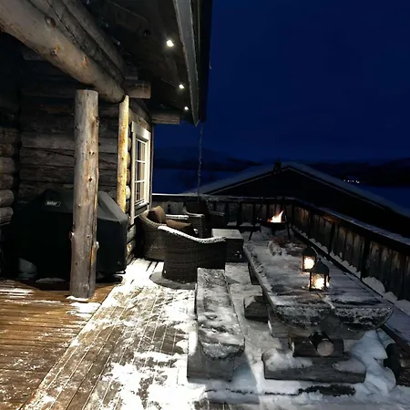 With The View Of Northen Light *