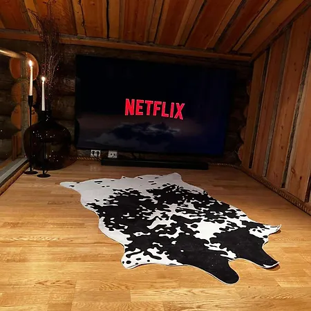 With The View Of Northen Light *