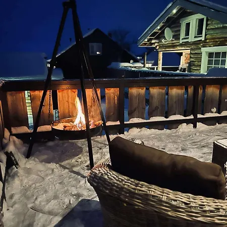 With The View Of Northen Light *