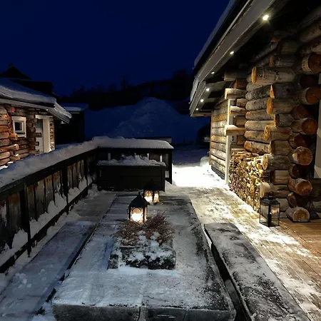 With The View Of Northen Light *