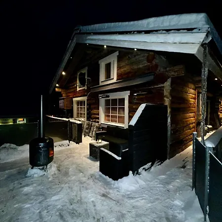 With The View Of Northen Light