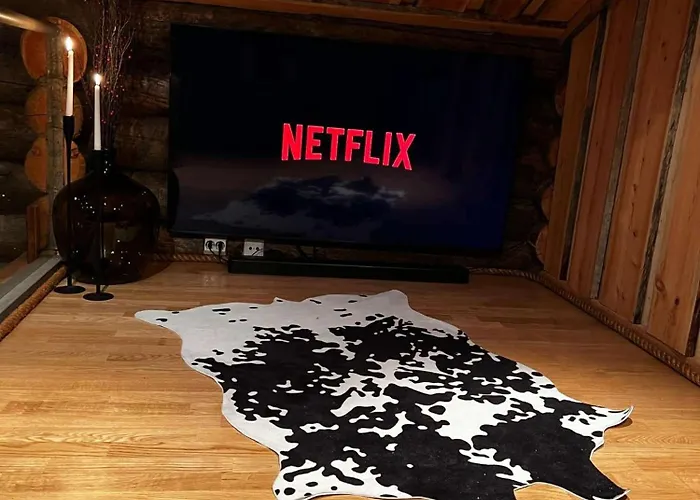 With The View Of Northen Light *