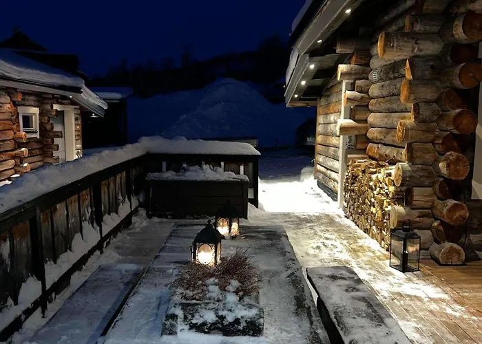 With The View Of Northen Light *