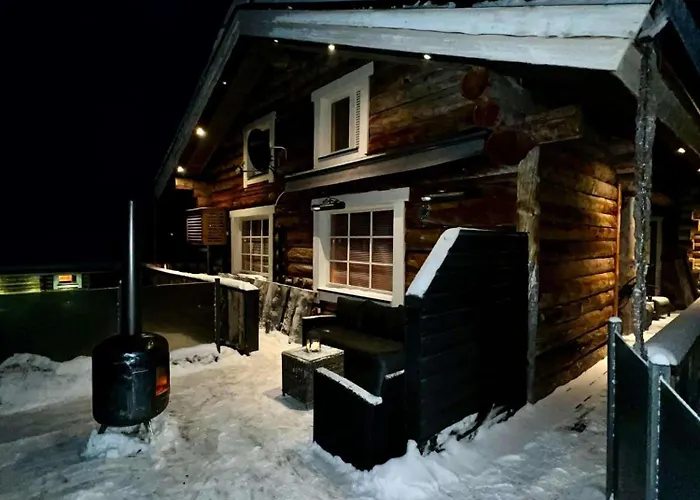 With The View Of Northen Light